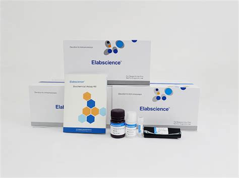 Zinc (Zn) Colorimetric Assay Kit 